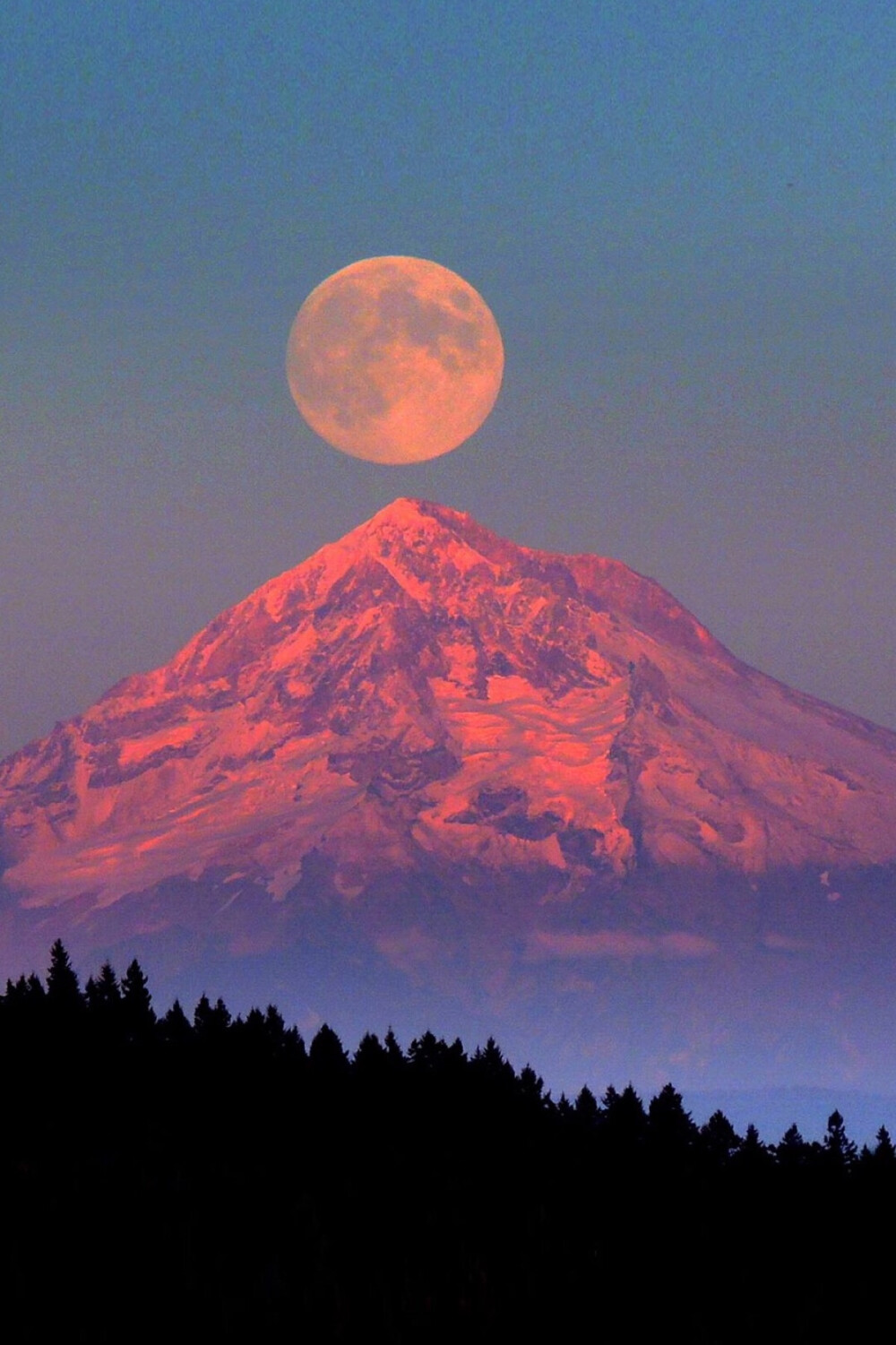 1.哪位專家知道塑料焊接的工藝！